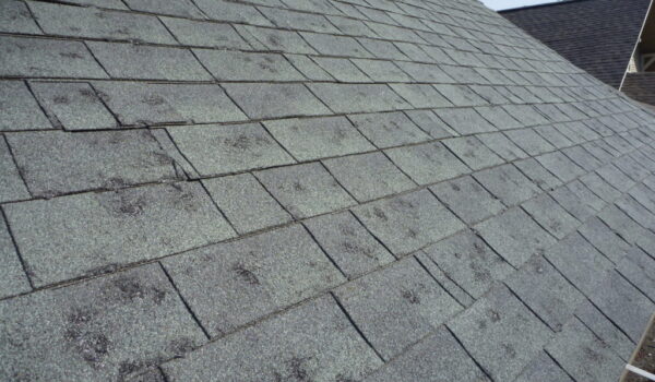 hail-damage-to-asphalt-shingles-1024x768