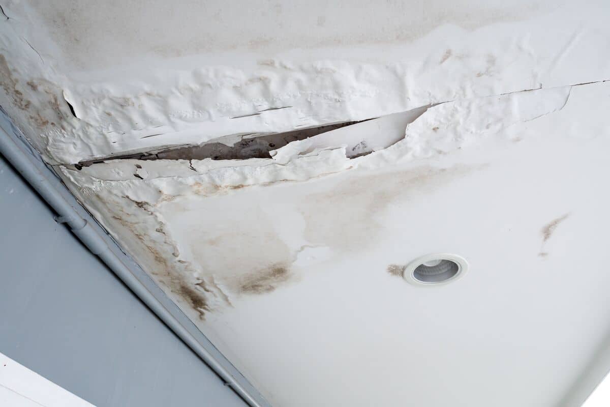 mold roof repair emergency prescott valley