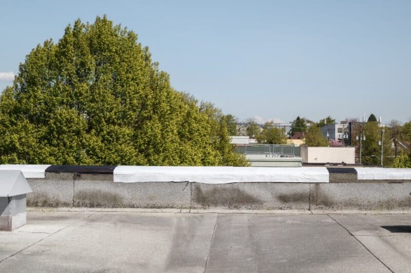 A section of a modified bitumen roof on a flat commercial building with two vents, facing a tree-studded cityscape.