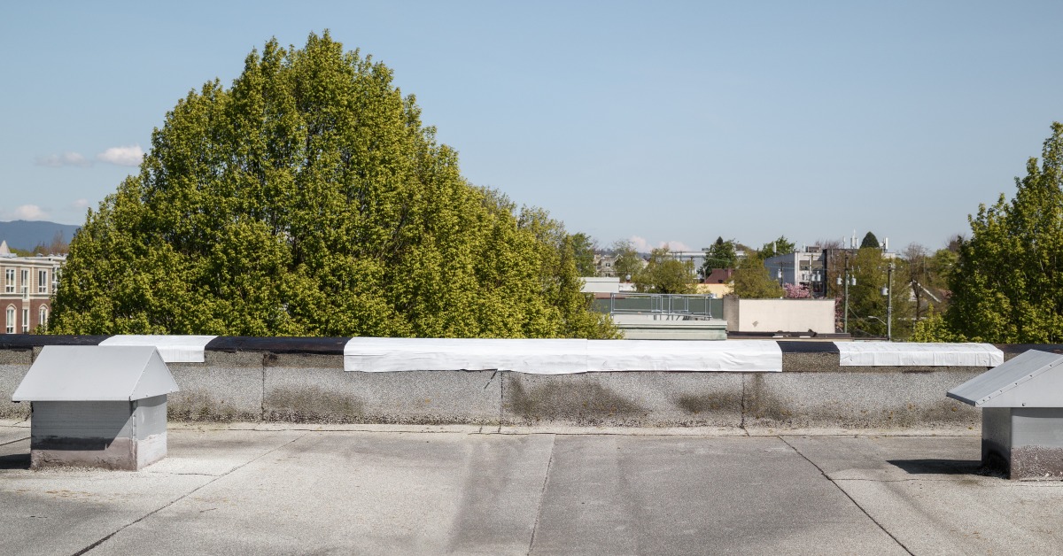A section of a modified bitumen roof on a flat commercial building with two vents, facing a tree-studded cityscape.