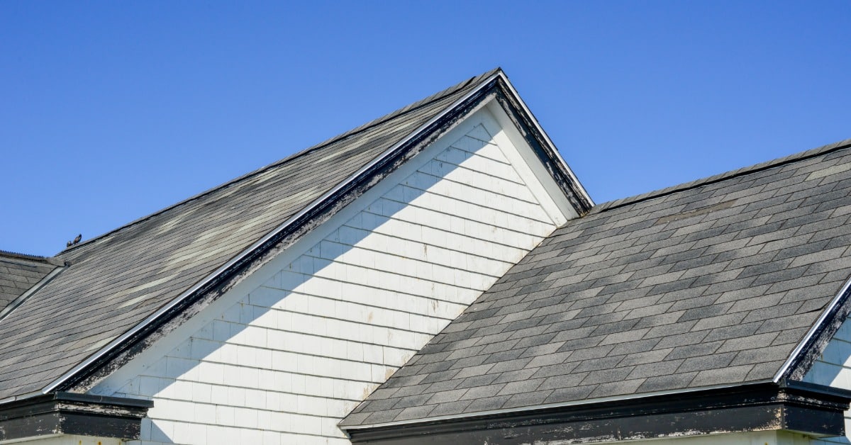 A house roofline with light gray asphalt shingles and a white gable sits under a clear blue sky in bright daylight.