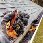 A gloved hand holding dark debris and autumn leaves above a rain gutter beside a gray shingled roof.