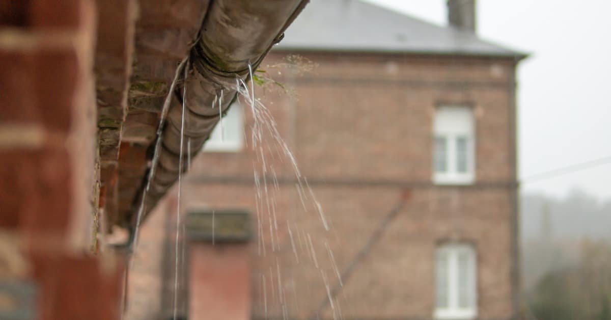 worn metal gutter leaking water from its underside beside brick walls and a blurred building in the distance.