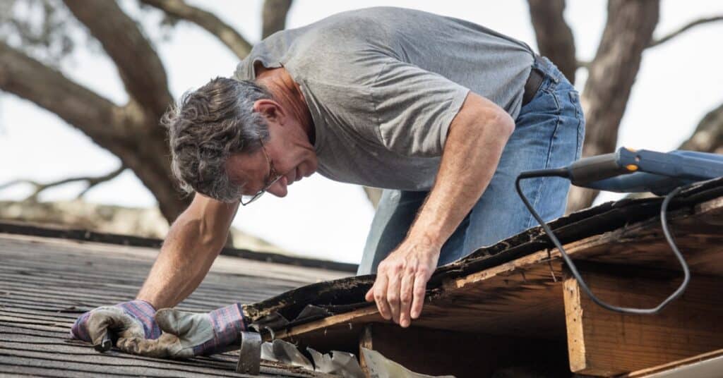 A man in a gray shirt leans over a shingled roof while examining damaged wood along an open roof edge.